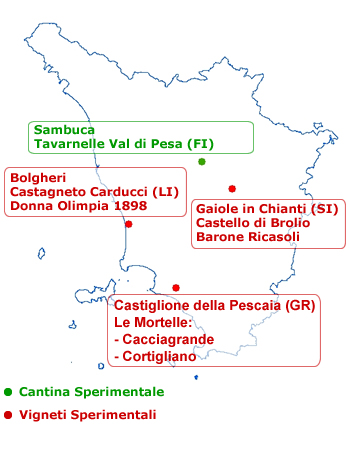 disposizione vigneti e cantina